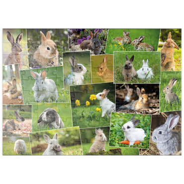 puzzleplate Hasen & Kaninchen - Collage No. 3 100 Puzzle