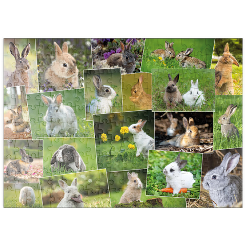 puzzleplate Hasen & Kaninchen - Collage No. 3 200 Puzzle