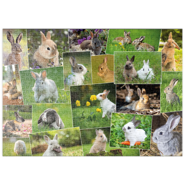 puzzleplate Hasen & Kaninchen - Collage No. 3 500 Puzzle