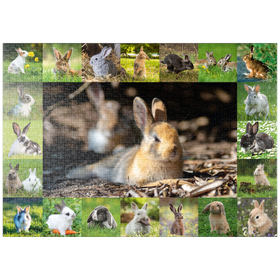 Darstellung des Puzzle-Motivs Hasen & Kaninchen - Collage No. 4 – Puzzleteile: 1000