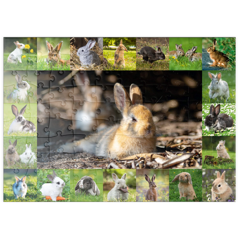 puzzleplate Hasen & Kaninchen - Collage No. 4 100 Puzzle