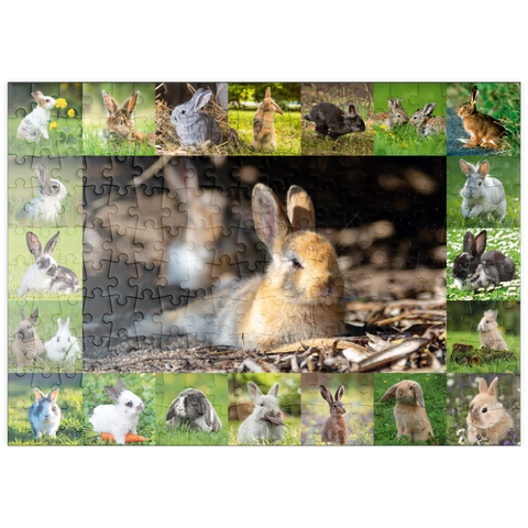 puzzleplate Hasen & Kaninchen - Collage No. 4 200 Puzzle