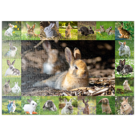 Darstellung des Puzzle Motivs Hasen & Kaninchen - Collage No. 4 - Puzzleteile: 200