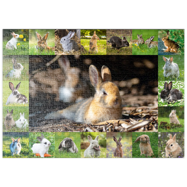 puzzleplate Hasen & Kaninchen - Collage No. 4 500 Puzzle