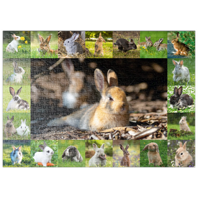 Darstellung des Puzzle Motivs Hasen & Kaninchen - Collage No. 4 - Puzzleteile: 500