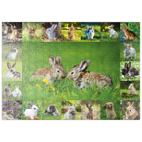 puzzleplate Hasen & Kaninchen - Collage No. 5 200 Puzzle