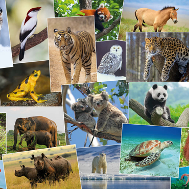 Bedrohte Tierarten - Collage No. 1 100 Puzzle 3D Modell