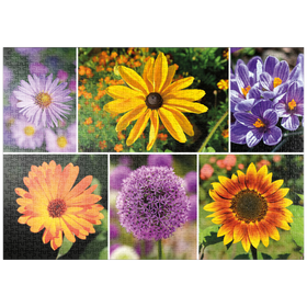 Darstellung des Puzzle-Motivs Bunte Blumen-Collage Nr. 4 im Frühling und Sommer – Puzzleteile: 1000