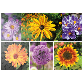 Darstellung des Puzzle-Motivs Bunte Blumen-Collage Nr. 4 im Frühling und Sommer – Puzzleteile: 200
