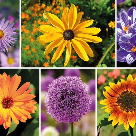 Bunte Blumen-Collage Nr. 4 im Frühling und Sommer 200 Puzzle 3D Modell