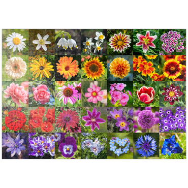 puzzleplate Bunte Blumen-Collage Nr. 5 im Frühling und Sommer 1000 Puzzle
