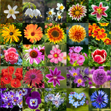 Bunte Blumen-Collage Nr. 5 im Frühling und Sommer 1000 Puzzle 3D Modell