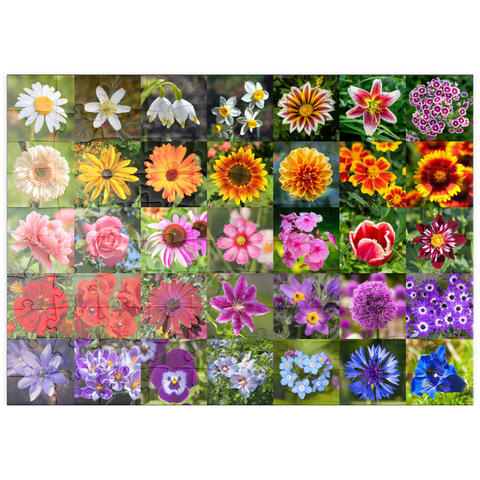 puzzleplate Bunte Blumen-Collage Nr. 5 im Frühling und Sommer 100 Puzzle
