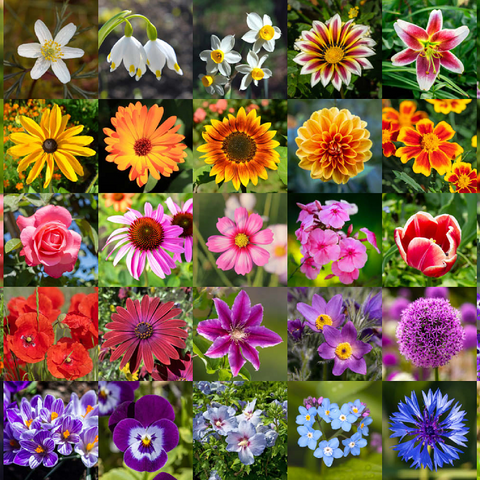 Bunte Blumen-Collage Nr. 5 im Frühling und Sommer 100 Puzzle 3D Modell