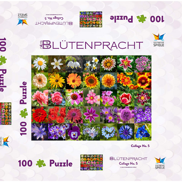 Bunte Blumen-Collage Nr. 5 im Frühling und Sommer 100 Puzzle Schachtel 3D Modell
