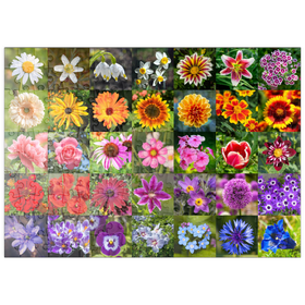 Darstellung des Puzzle-Motivs Bunte Blumen-Collage Nr. 5 im Frühling und Sommer – Puzzleteile: 200