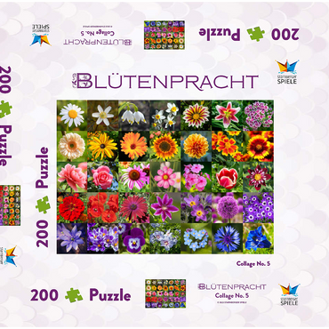 Bunte Blumen-Collage Nr. 5 im Frühling und Sommer 200 Puzzle Schachtel 3D Modell