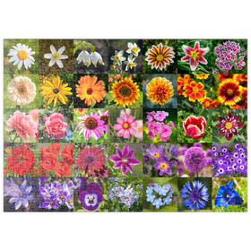Darstellung des Puzzle-Motivs Bunte Blumen-Collage Nr. 5 im Frühling und Sommer – Puzzleteile: 500