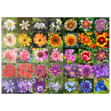 puzzleplate Bunte Blumen-Collage Nr. 5 im Frühling und Sommer 500 Puzzle