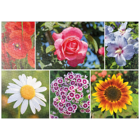 Darstellung des Puzzle-Motivs Bunte Blumen-Collage Nr. 6 im Frühling und Sommer – Puzzleteile: 1000