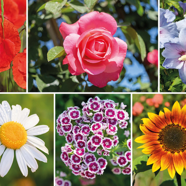 Bunte Blumen-Collage Nr. 6 im Frühling und Sommer 1000 Puzzle 3D Modell
