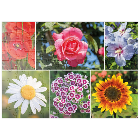puzzleplate Bunte Blumen-Collage Nr. 6 im Frühling und Sommer 100 Puzzle