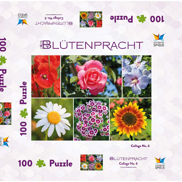 Bunte Blumen-Collage Nr. 6 im Frühling und Sommer 100 Puzzle Schachtel 3D Modell