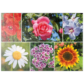 Darstellung des Puzzle-Motivs Bunte Blumen-Collage Nr. 6 im Frühling und Sommer – Puzzleteile: 200