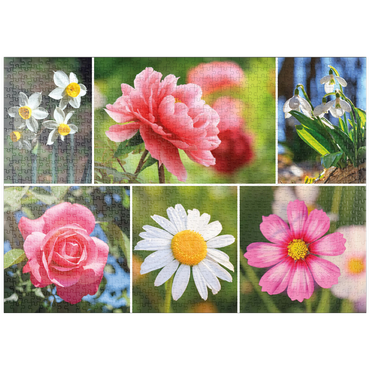 puzzleplate Bunte Blumen-Collage Nr. 7 im Frühling und Sommer 1000 Puzzle