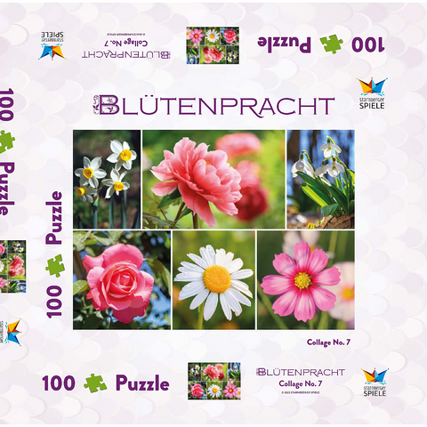 Bunte Blumen-Collage Nr. 7 im Frühling und Sommer 100 Puzzle Schachtel 3D Modell